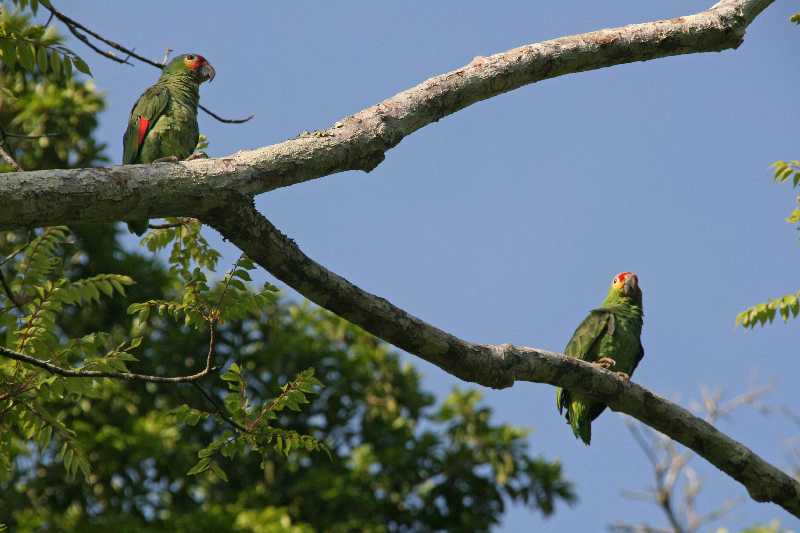 Mexico & Guatemala 2010 - 1056